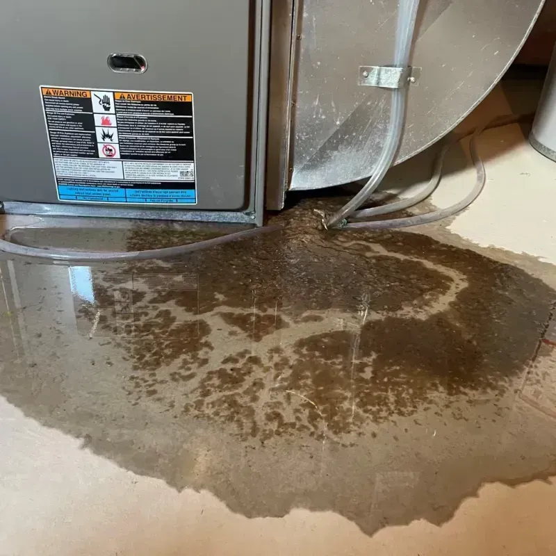 Appliance Leak Cleanup in Waxhaw, NC